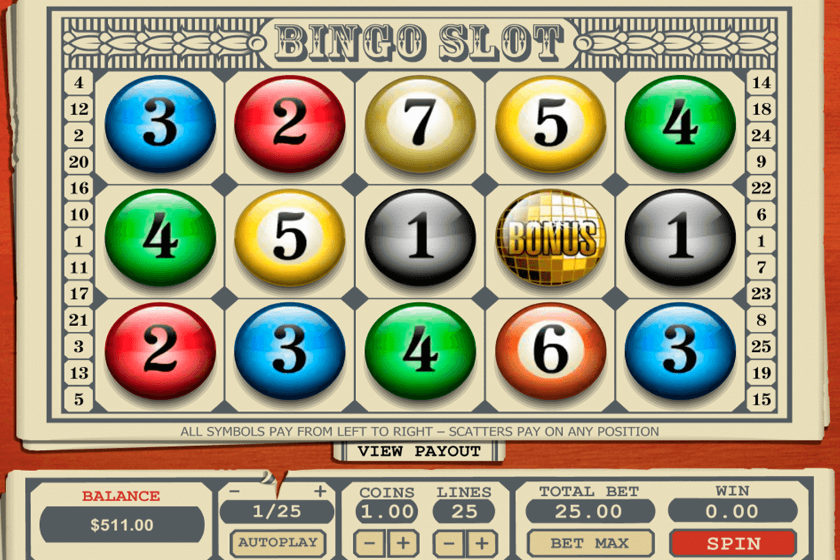bingo slot pragmatic