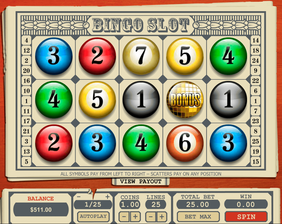 bingo slot pragmatic slot