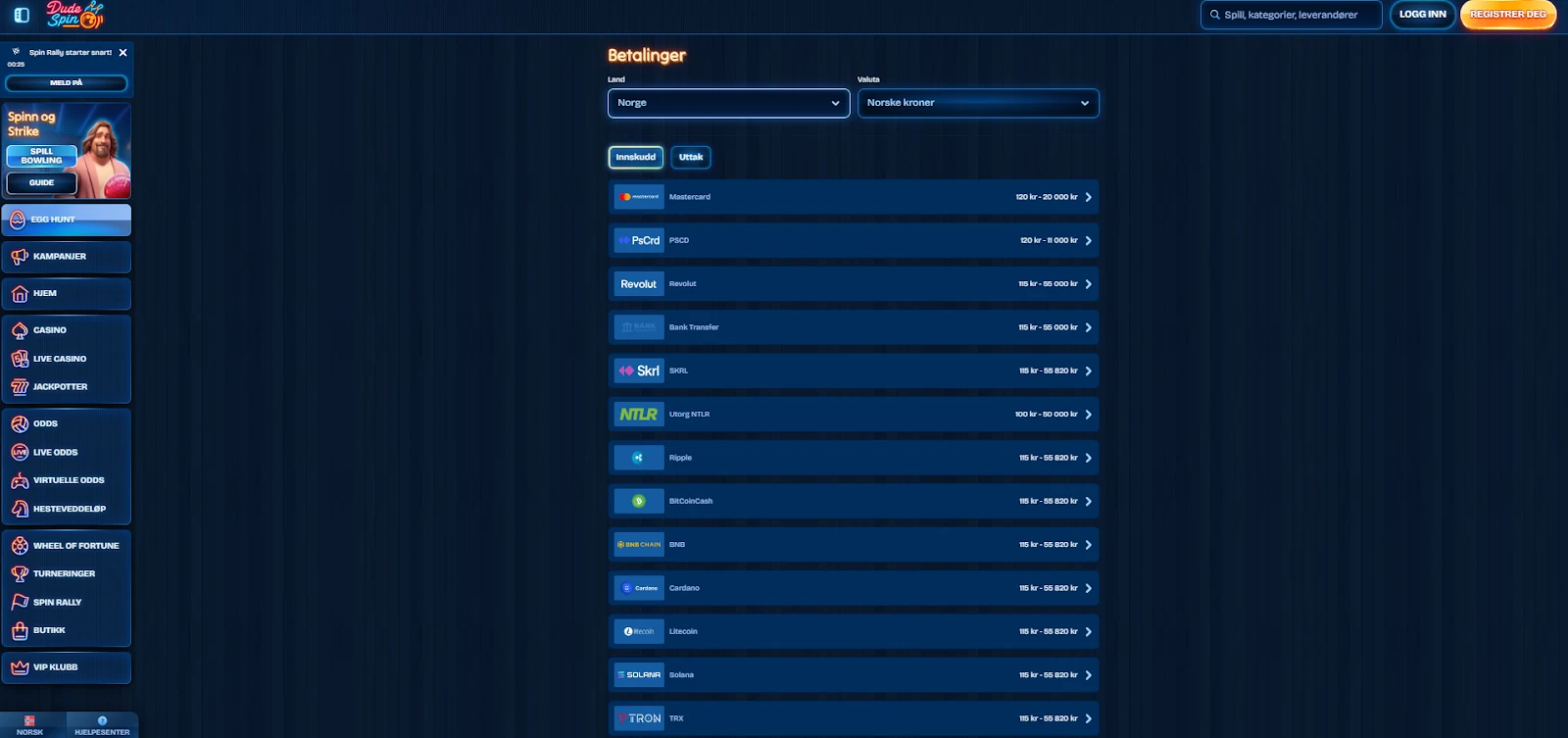 DudeSpin Betalingsmetoder