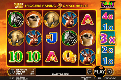 hot safari pragmatic slot